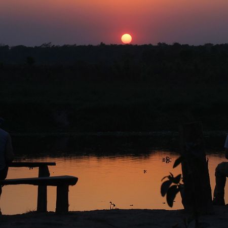 Jungle Sunset Camp Hotel Sauraha Ngoại thất bức ảnh