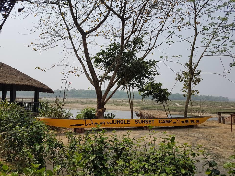 Jungle Sunset Camp Hotel Sauraha Ngoại thất bức ảnh
