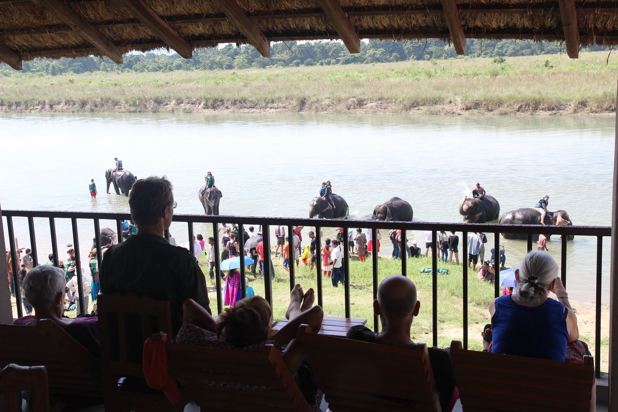Jungle Sunset Camp Hotel Sauraha Ngoại thất bức ảnh