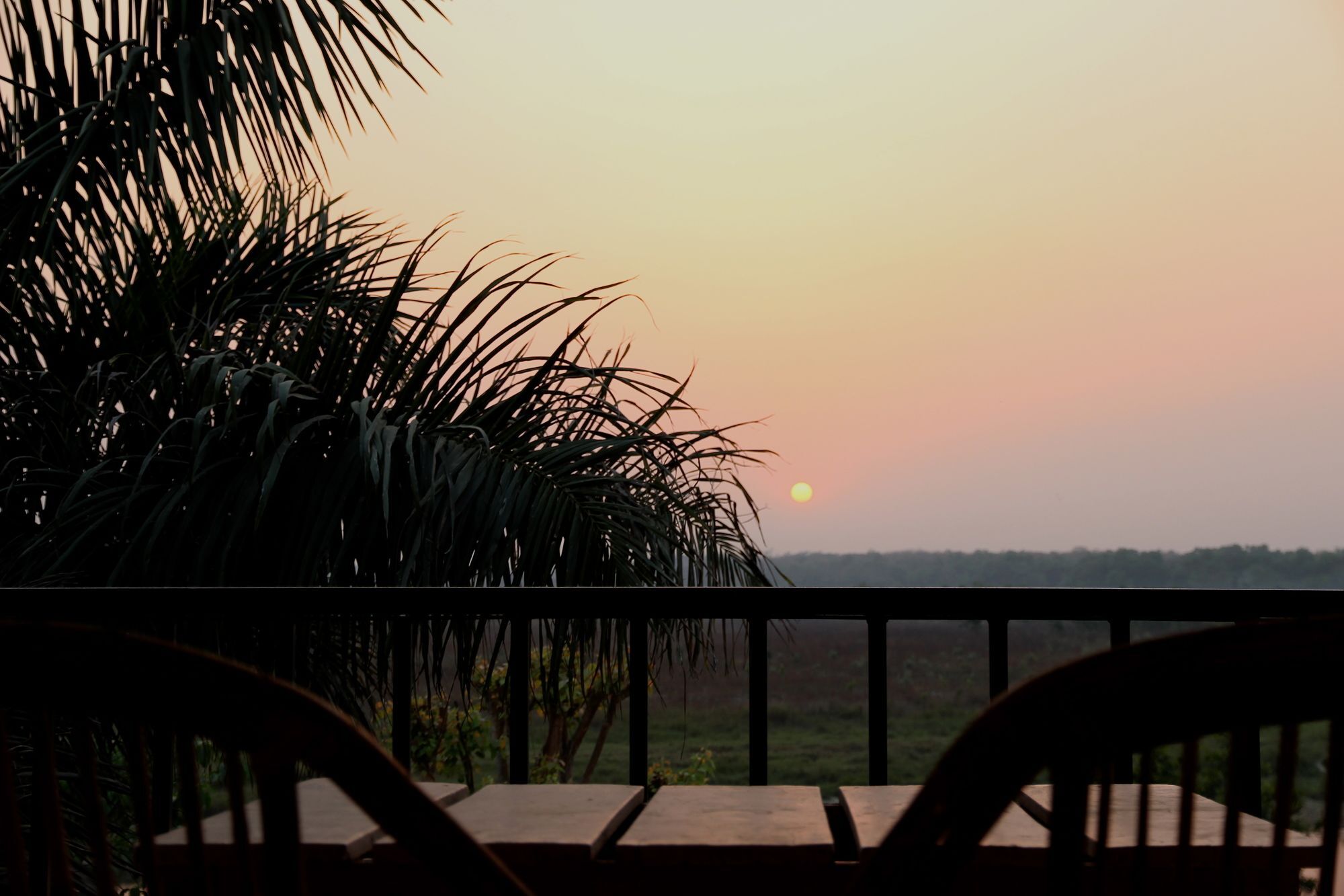 Jungle Sunset Camp Hotel Sauraha Ngoại thất bức ảnh