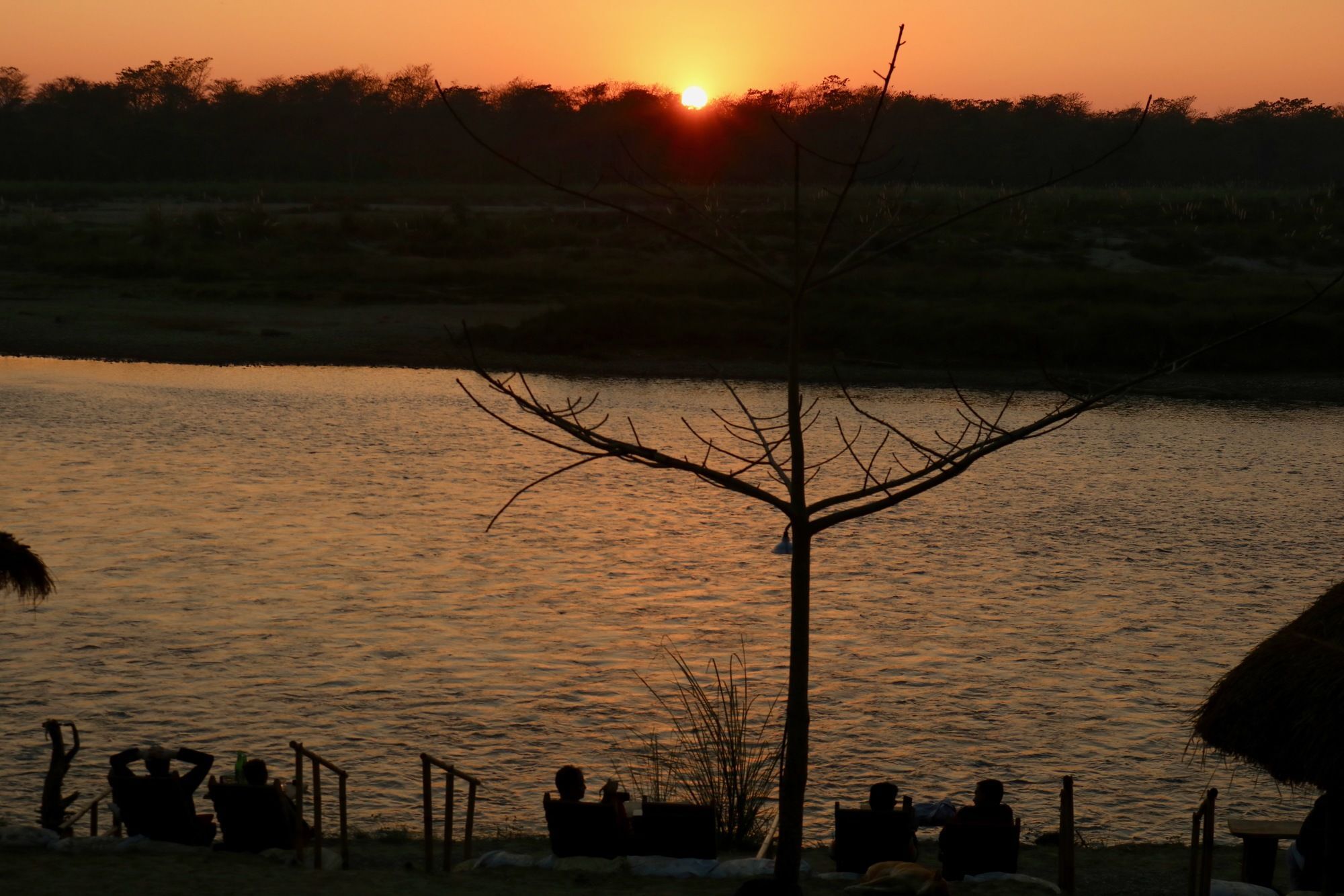 Jungle Sunset Camp Hotel Sauraha Ngoại thất bức ảnh