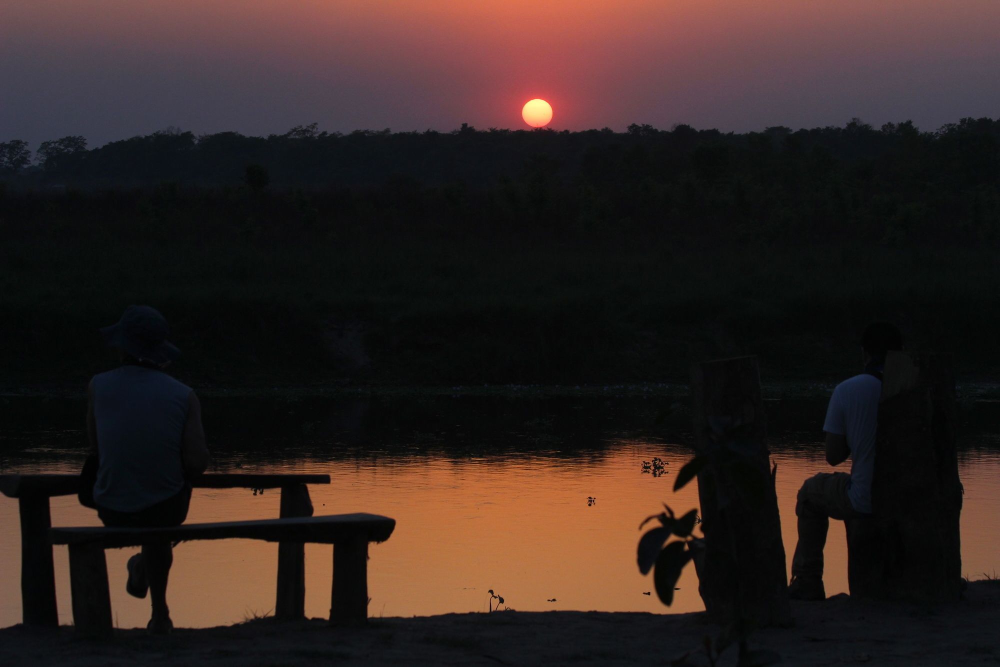 Jungle Sunset Camp Hotel Sauraha Ngoại thất bức ảnh