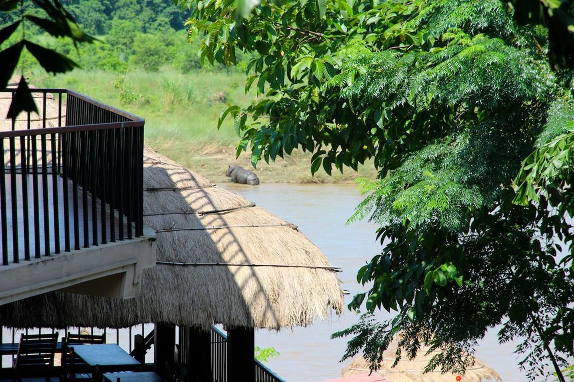 Jungle Sunset Camp Hotel Sauraha Ngoại thất bức ảnh