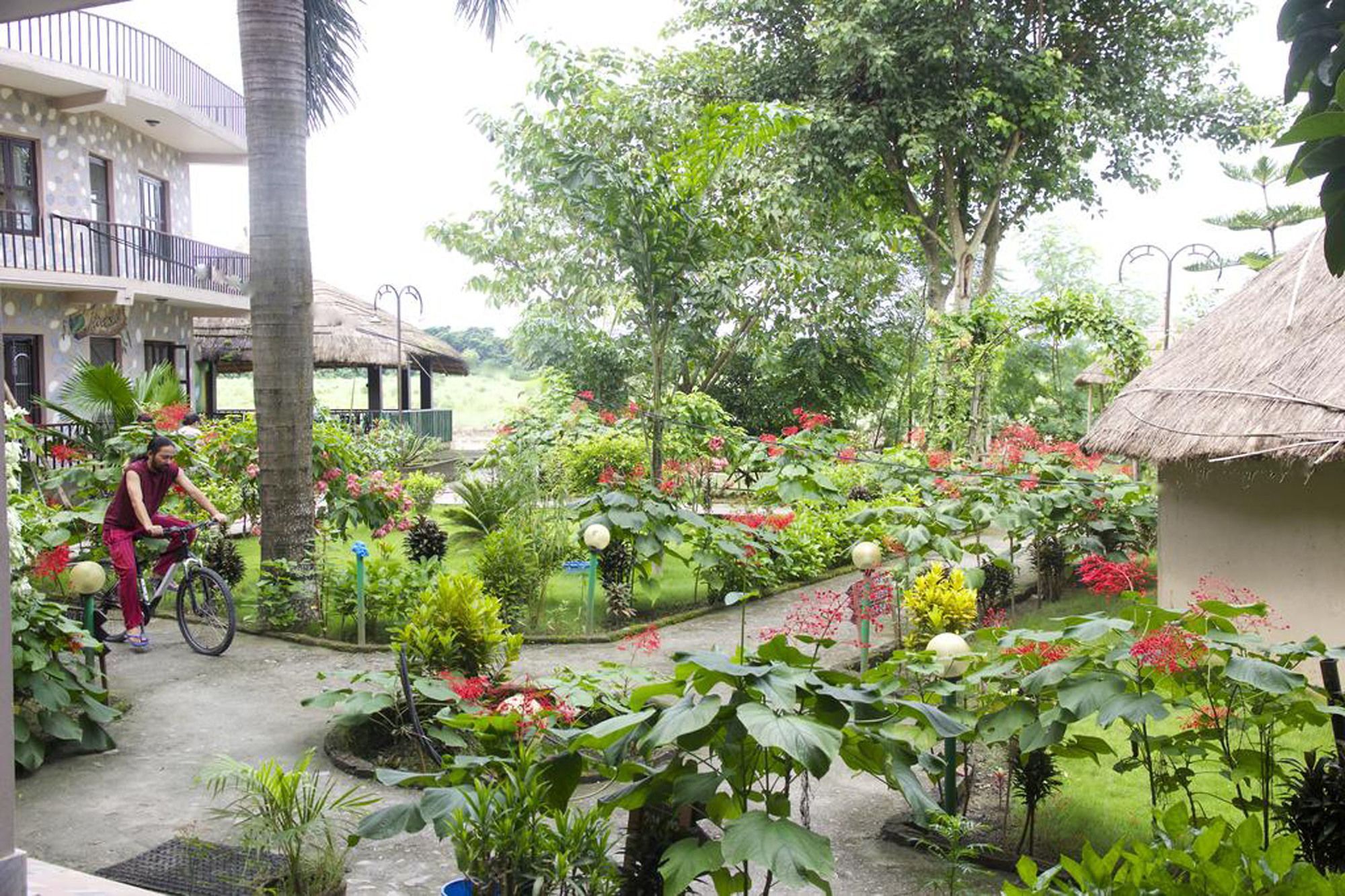Jungle Sunset Camp Hotel Sauraha Ngoại thất bức ảnh