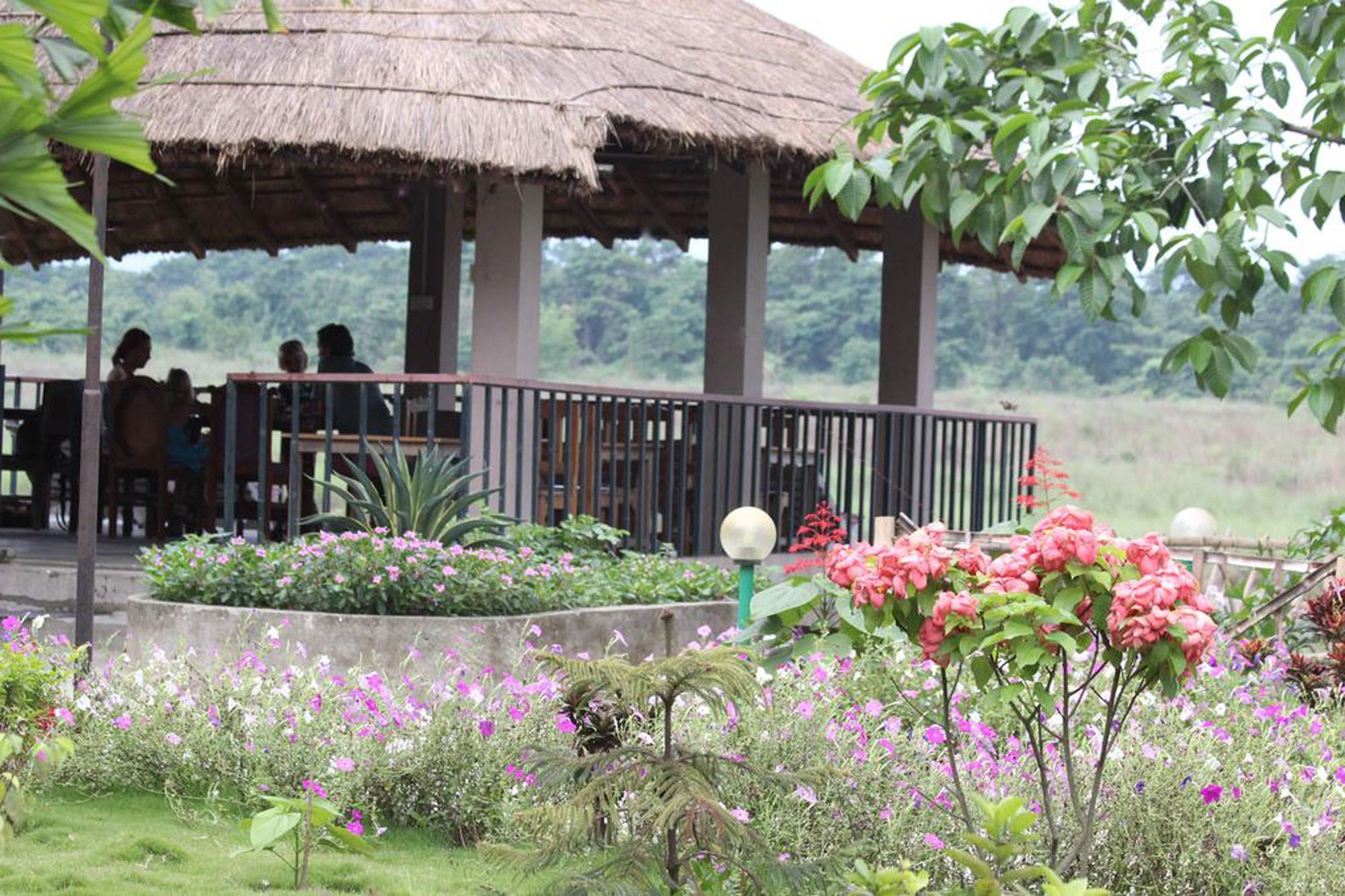 Jungle Sunset Camp Hotel Sauraha Ngoại thất bức ảnh