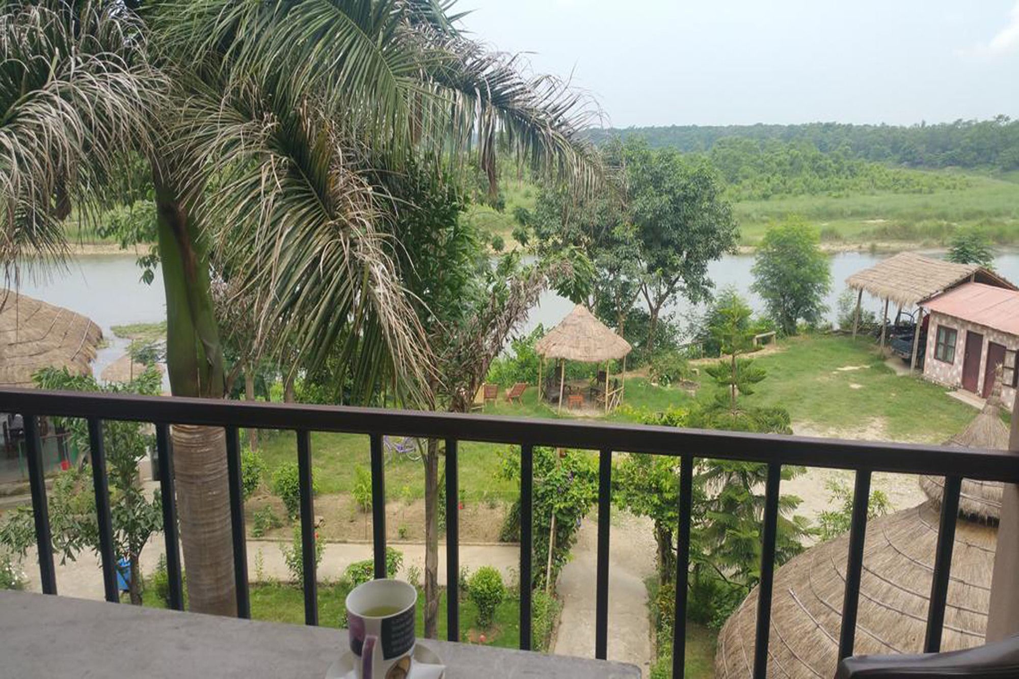 Jungle Sunset Camp Hotel Sauraha Ngoại thất bức ảnh
